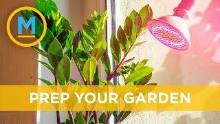 How to prep your garden for winter | Your Morning