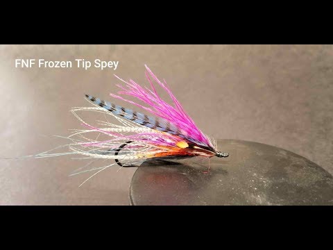 Friday Night Flies   Frozen Tip Spey Fly