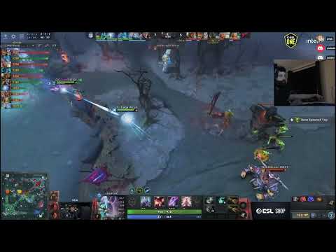 Puppey playing too much with Armel - "Kill him Puppey!"