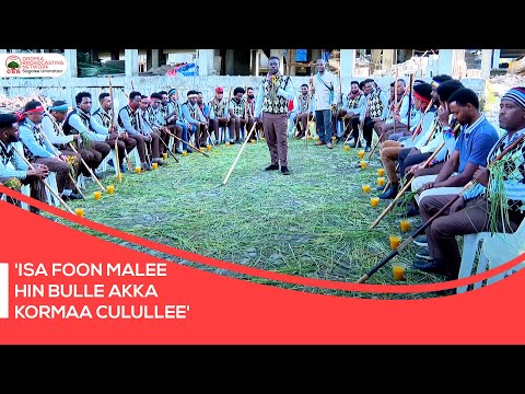 'Isa foon malee hin bulle akka kormaa culullee'