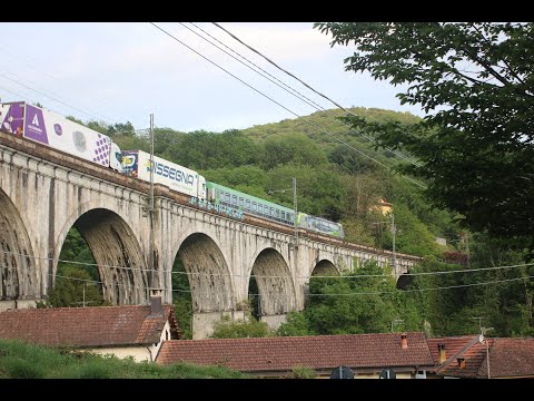 Treni a PETTENASCO (lago d'Orta) sulla linea Novara-Borgomanero-Domodossola.