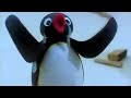 Pingu Domestic Violence