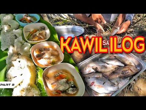 P2-PANGANGAWIL SA ILOG - EP1139