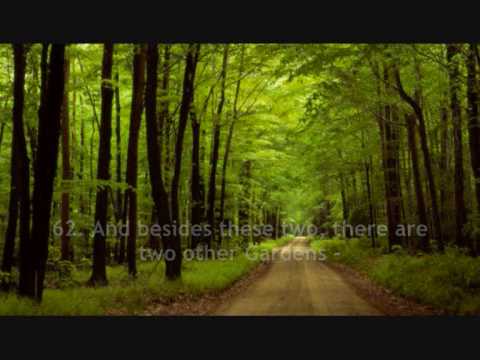 Salah Bukhatir - Surah Ar Rahman (55) (English Translation)