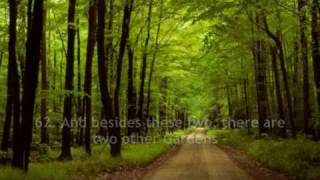 Salah Bukhatir - Surah Ar Rahman (55) (English Translation)