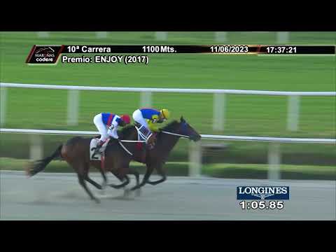 230611 c10 EL MERENGUE