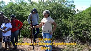 PROJETO: BRA/14/G32 - Manejo do Uso Sustentável da Terra no Semiárido do Nordeste Brasileiro (Sergip