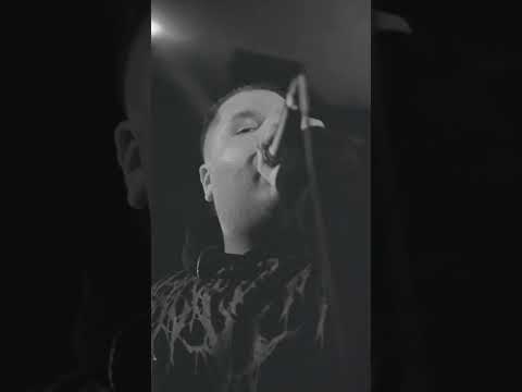 Vulher - Reel live 