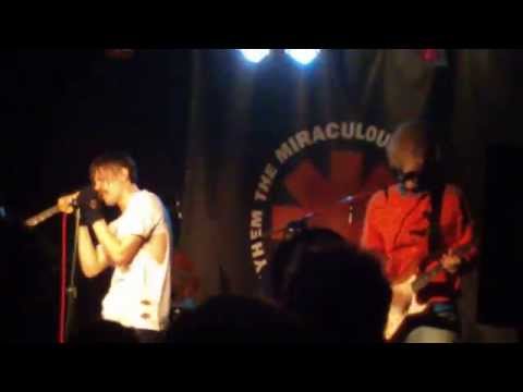 red hot chilli peppers by Masters Of Mayhem