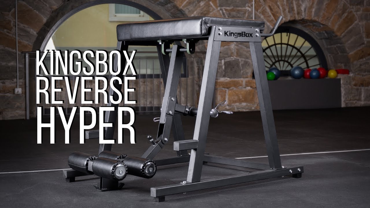 KingsBox Reverse Hyper