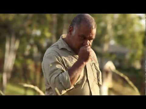 BushTV Steve Kemp Modern Medicine Man