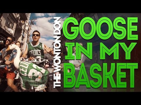 The Wonton Don | Goose In My Basket [Official Music Video]