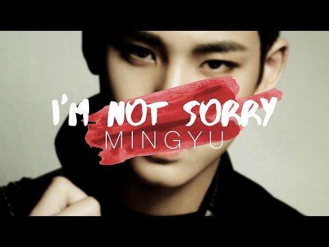 [ MINGYU ] i m  n o t  s o r r y