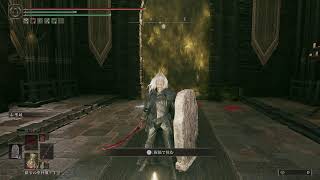 [TCL'24 #41]  【ELDEN RING  SHADOW OF THE TREE】#4   死にゲー下手っぴが2年ぶりにさわるELDEN RING
