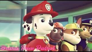 Paw Patrol • Mi Gente - J Balvin,Willy William