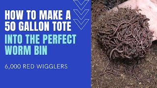 How to build the perfect worm bin for 6,000 red wigglers!