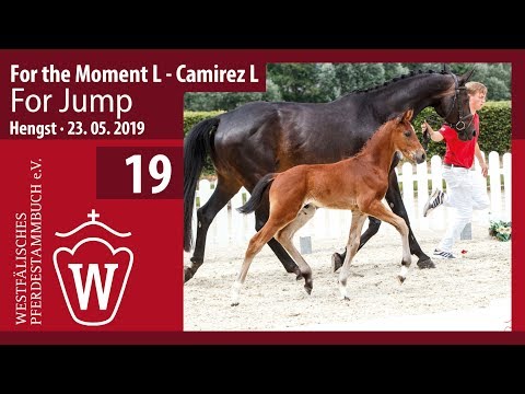 19 For Jump Hengst v. For the Moment L - Camirez L