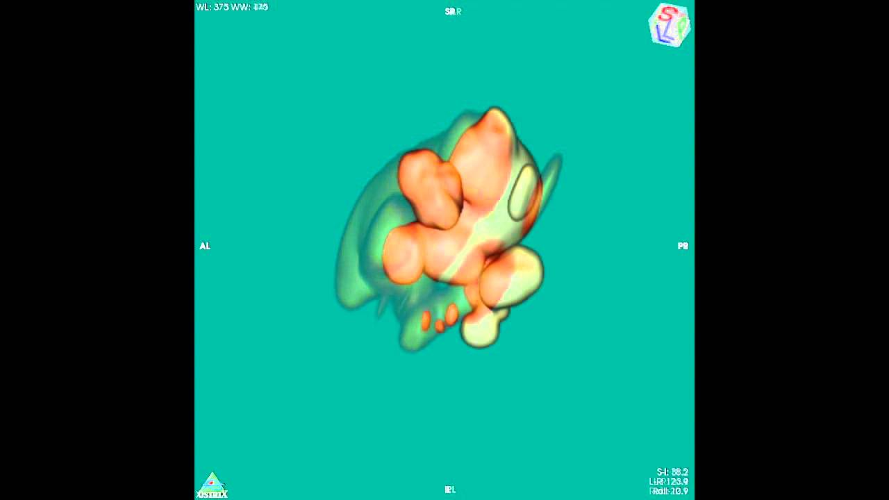 Enzo Mastroberardino-3