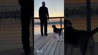 Control Is Quiet By Nature #Shorts