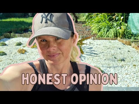 I've Lived In PORTUGAL 15 Years And Can Tell Expats This! Honest Review Of Living In Portugal