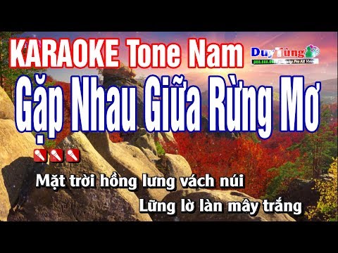 Karaoke || Gặp Nhau Giữa Rừng Mơ - Tone Nam || Nhạc Sống Duy Tùng