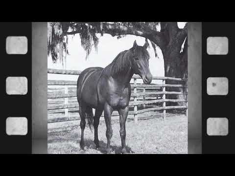 FTBOA History Moment Dr Fager