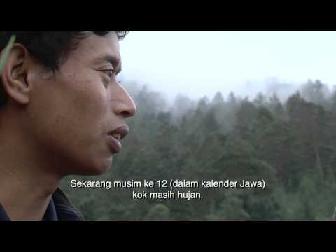 'Negeri di Bawah Kabut' - Trailer
