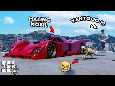 MENJADI HEWAN MALING MOBIL - GTA 5 ROLEPLAY