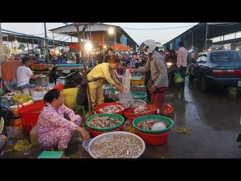 Amazing Site Selling Fish Near Prek Phnov Bridge - Early Morning Fish Market Scene @Phek Phnov