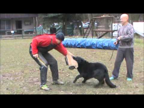 Ux z Kuřimského háje