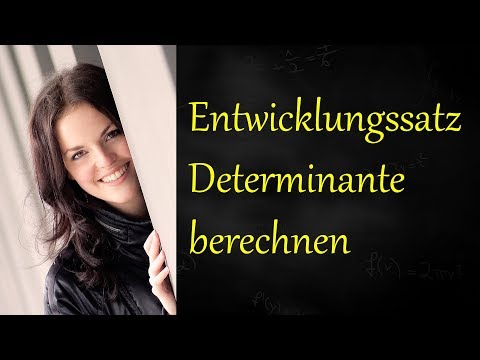Determinante berechnen (Laplacescher Entwicklungssatz)