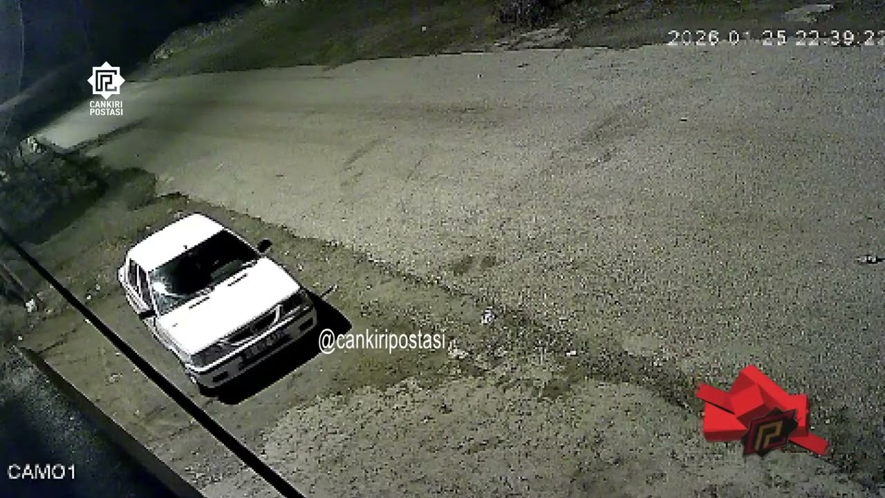 Çankırı’da Aç Kalan Tilki Şehir Merkezine İndi