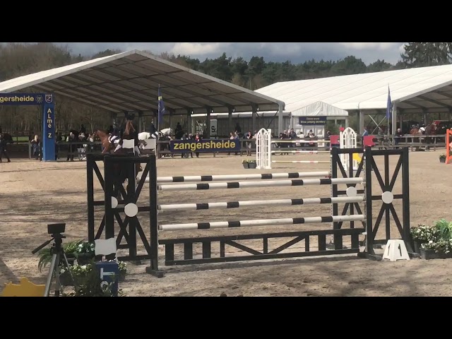 Great-grandmother of Clear Wiskey Z is the CSI 5 1.60m jumping mare Sea Coast Ferly with rider Gudrun Patteet.