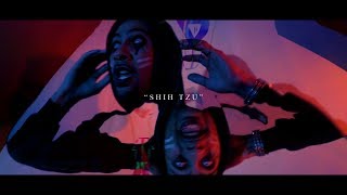 Shih Tzu - Clip Monstar