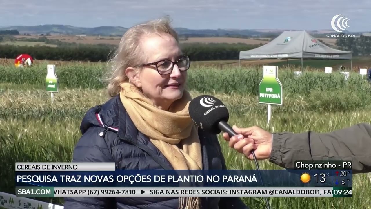 Pesquisa traz novas opções de cereais de inverno no Paraná