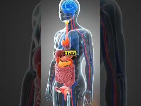 Boost Your Digestive system in Just 30 Days with These 4 Ayurvedic Diet and Tips"😱#digestivehealth