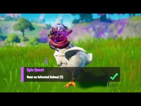 Hunt an infected animal Locations - Week 4 Epic Quests Challenges