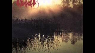 Dawn The Ethereal Forest (HQ)