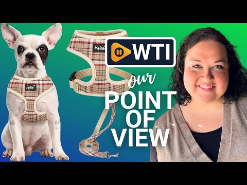 PUPTECK Soft Mesh Dog Harness and Leash Set Pet Puppy Cat Comfort Padded Vest No Pull Harnesses - WTI product video review