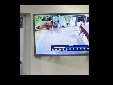 PELEA ENTRE JEISON EL MONO DOBLE VOZ DE QUIMICO ULTRA MEGA Y LA MELMA MANAGER DE YOMEL EL MELOSO