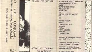 O Yuki Conjugate - A Time For Wild Gyrations