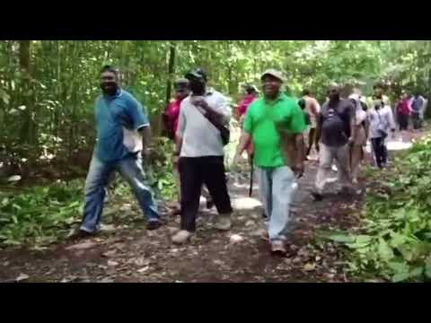 pembersihan hutan gunung meja destinasi wisata tugu jepang