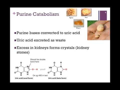 143-Nucleotide Catabolism