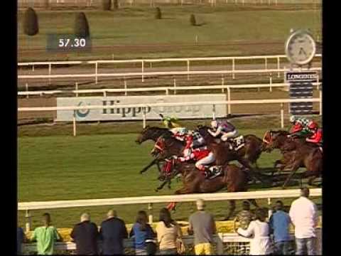 Premio Aldo e Renato Ricchi 2014 (HANDICAP PRINCIPALE)