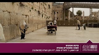 ברכת כהנים ותפילת שחרית חג הפסח בשידור חי