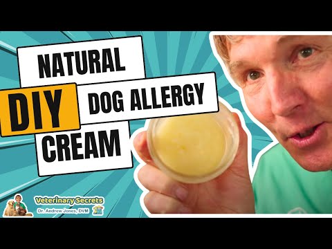 Dr Jones' Simple and Natural DIY Dog Allergy Cream: It really Stops Itching!