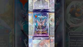 Entering the Wilds of Eldraine on Day 838 with a Set Booster 🧚‍♀️