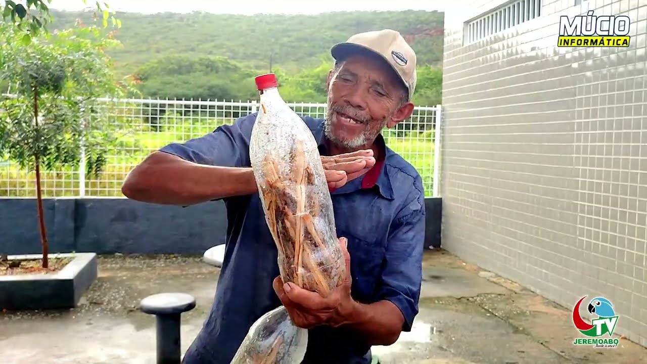 DR RAIZ - O MEDICO DAS CASCAS DE PAU - JEREMOABO\BA