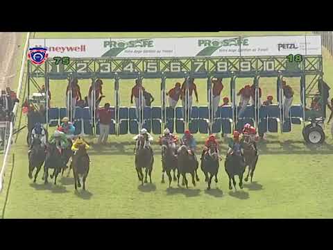 RM7 R5 - Jolie Roger(D.David)