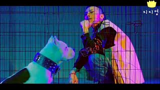 G-DRAGON(지드래곤) - BULLSHIT(개소리) Music Video &amp; Concert Mash up FMV ENG SUB KING OF KPOP LEGEND 권지용